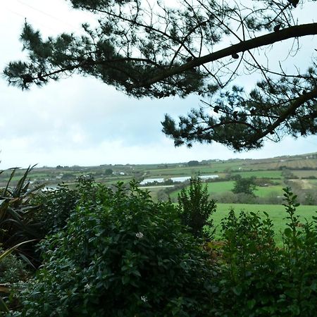 Willa 45 Trevithick Court, Tolroy Manor Hayle Zewnętrze zdjęcie
